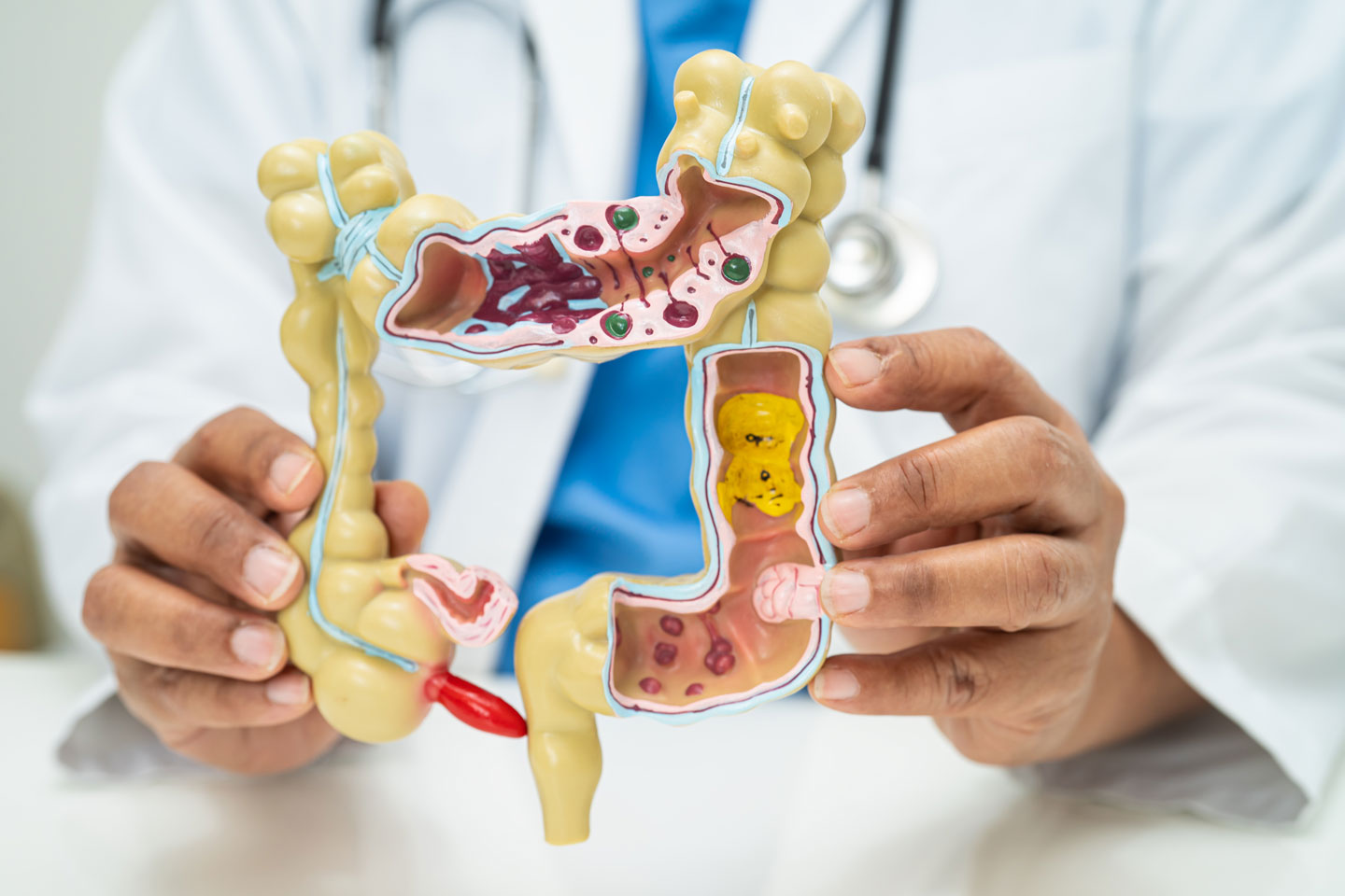 Gastroenterology diagram with doc