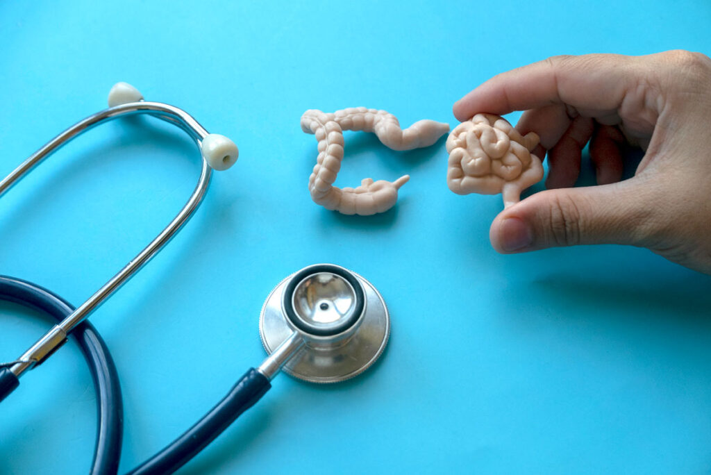 Expert Preventive colonoscopy and digestive health screening in Brooksville.